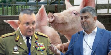 Scandal uriaș după ce Legea porcului interzicea ca românul să-și vândă porcul din gospodărie. Ședință de urgență