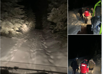 Doi turiști și un câine găsiți de salvamontiști în Stâna de Vale după două ore de căutări