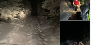 Doi turiști și un câine găsiți  de salvamontiști în Stâna de Vale după două ore de căutări