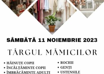 Târgul mămicilor la Primăria Sânmartin