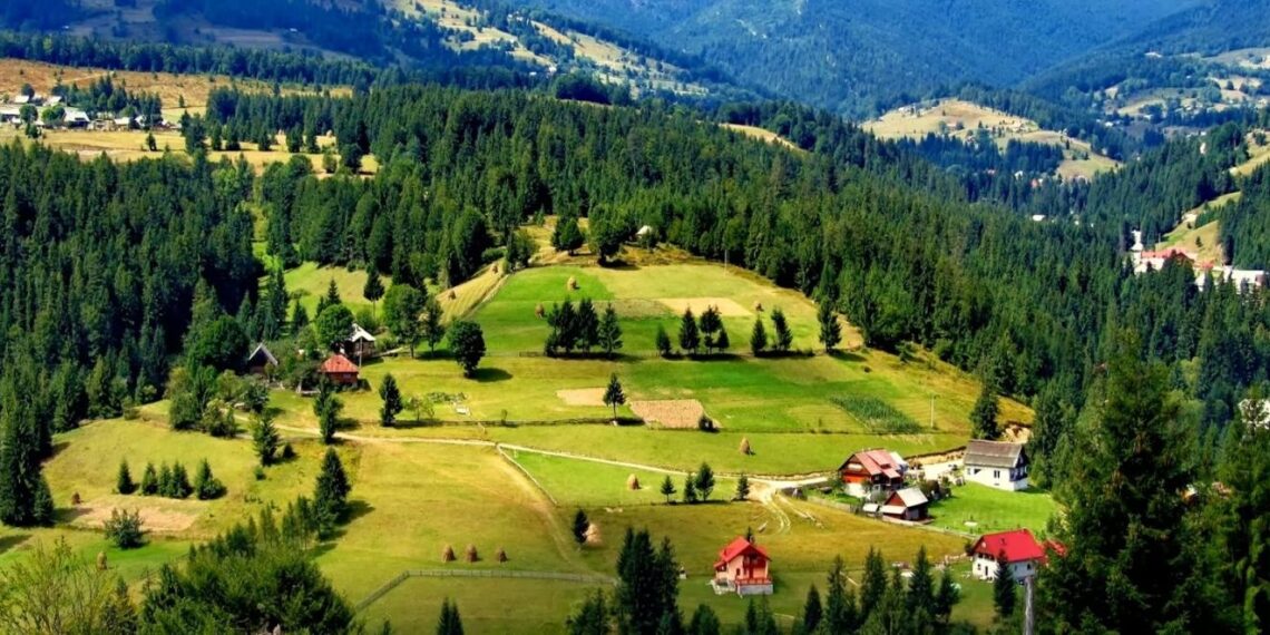 Președintele Johannis a semnat decretul prin care se dau facilități celor care domiciliază sau lucrează în unele localități din Munții Apuseni. Sunt 15 orașe si comune din Bihor