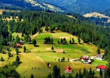 Președintele Johannis a semnat decretul prin care se dau facilități celor care domiciliază sau lucrează în unele localități din Munții Apuseni. Sunt 15 orașe si comune din Bihor