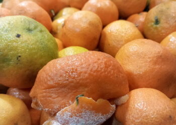 Kaufland Ioșia, amendă 40.000 lei. O orădeancă a cumpărat gușă de porc din care parcă ieșea puroi. Grill închis din cauza mizeriei. Fructe și legume cu mucegai