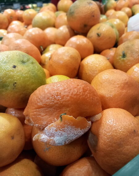 Kaufland Ioșia, amendă 40.000 lei. O orădeancă a cumpărat gușă de porc din care parcă ieșea puroi. Grill închis din cauza mizeriei. Fructe și legume cu mucegai