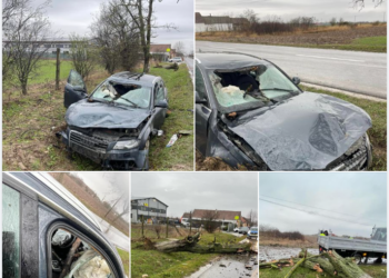 I-a căzut copacul pe mașină la Tărian. „Slavă Domnului că am scăpat cu viață din acest incident de groază„