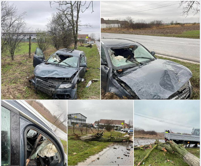 I-a căzut copacul pe mașină la Tărian. „Slavă Domnului că am scăpat cu viață din acest incident de groază„
