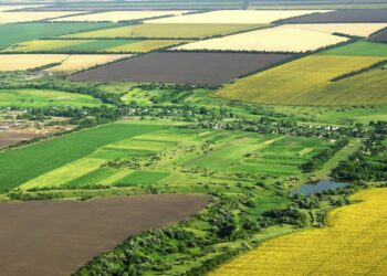 Nu este necesară respectarea dreptului de preempţiune la încheierea unei convenţii având ca obiect înstrăinarea posesiei asupra unui teren agricol din extravilan | Jurisprudență ÎCCJ
