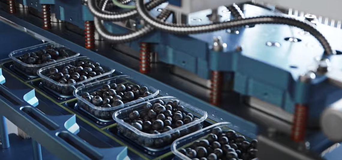 VIDEO.Bihorenii care pun afinele în farfuriile celor din Orientul Mijlociu. Povestea impresionantă a unei firme de agricultură cu rădăcini în IT