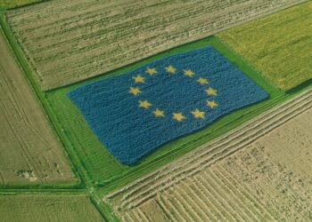 Șefa Comisiei Europene anunță lansarea unui dialog strategic privind viitorul agriculturii