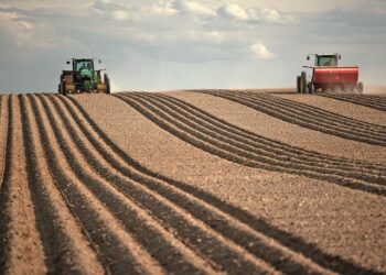 Care au fost marile tranzacții de pământuri de anul trecut. Cât pământ s-a vândut, cine l-a cumpărat și pentru ce sumă