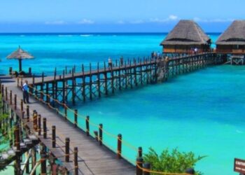 11 cazuri de malarie, unul e al unui beiușean întors din Zanzibar. A fost transferat la Spitalul Dr. Victor Babeș București