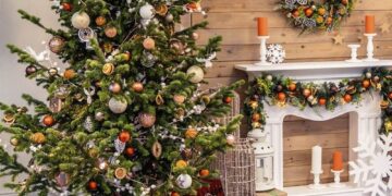 Ce facem cu bradul de Crăciun  după Bobotează. Vor fi colectați gratuit