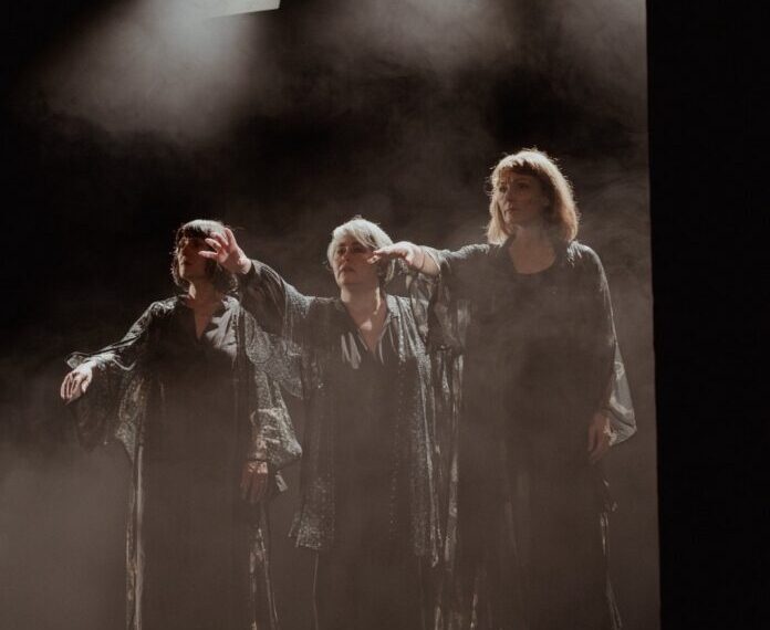 De ce consideră scriitorul Călin Ciobotari că nu poți face cronică de teatru la ”Zeițe de categoria B”, spectacolul în care joacă și orădeanca Ioana Dragoș Gajdó