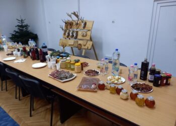 Un fost sudent de la Silvicultură din Oradea deține singura exploatație pentru brazii de Crăciun din Bihor