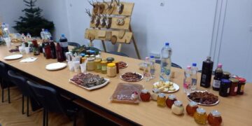 Un fost sudent de la Silvicultură din Oradea deține singura exploatație pentru brazii de Crăciun din Bihor