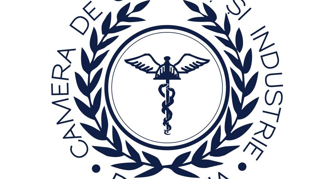 Topul firmelor din Bihor. Cei mai tari actori din industria județului