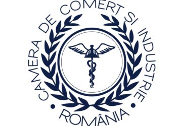 Topul firmelor din Bihor. Cei mai tari actori din industria județului