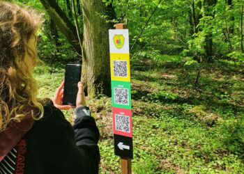 55 de trasee educative înființate de Romsilva. Unul este în Bihor