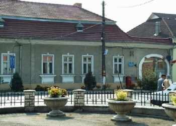 Renunță la Președenția Judecătoriei Aleșd. După 23 de ani de activitate, judecătoarea Anca Diana Cipleu se pensionează