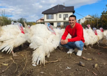 A lucrat pe yachturile lui Jeff Bezos și pe cel al lui Bill Gates. Cu banii strânși și-a făcut o fermă de curcani