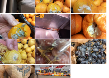 60.000 lei amendă pentru dezastrul din Supermarketul Carrefour ERA,  Oradea