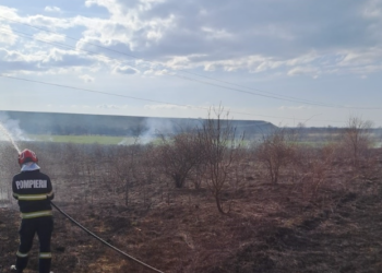Arde un teren între Lugaşu de Jos şi Urvind