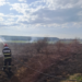 Arde un teren între Lugaşu de Jos şi Urvind