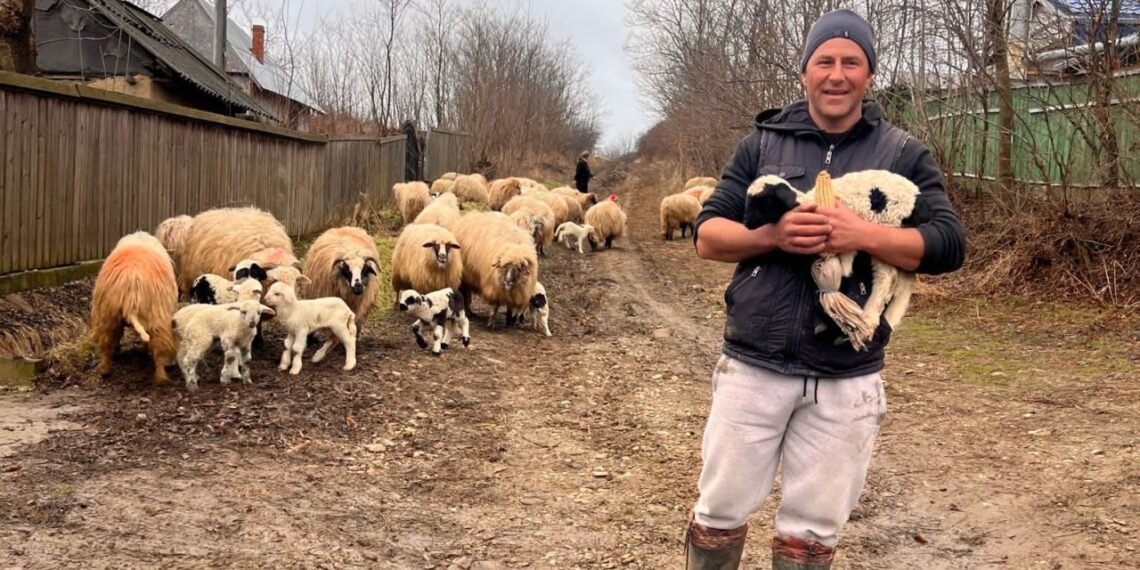 foto agrointeligenta