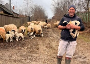 foto agrointeligenta