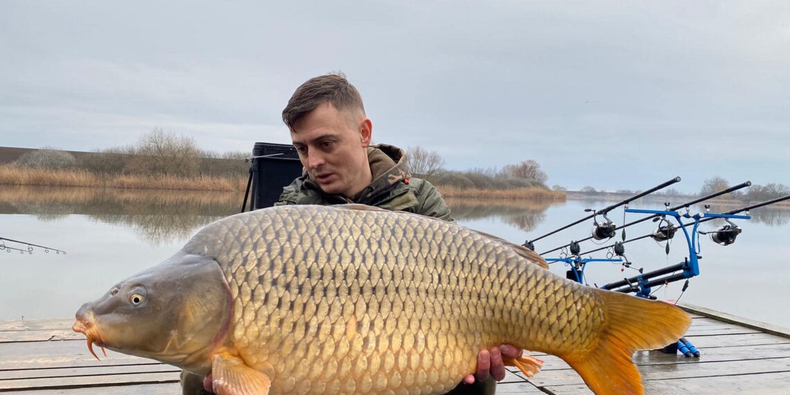 Uriașii din Paradisul crapilor din Diosig