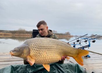 Uriașii din Paradisul crapilor din Diosig