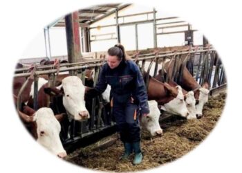 Zeci de bihoreni solicită finanțare de peste 33 milioane de euro la AFIR pentru investiții în zootehnie