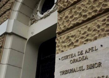 Obligat la muncă în folosul comunității pentru violență în familie