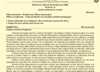 Blaga la simularea Bac-ului