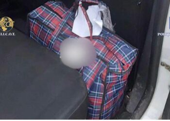 Tinerii din Pocola care aduceau cannabis din Spania cu autocarul, condamnați