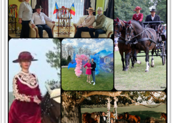 Amazoana care moștenește cea mai mare herghelie privată, la Săcuieni, va deveni mamă