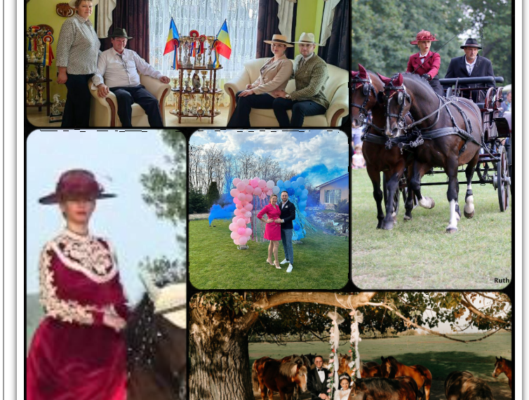 Amazoana care moștenește cea mai mare herghelie privată, la Săcuieni, va deveni mamă