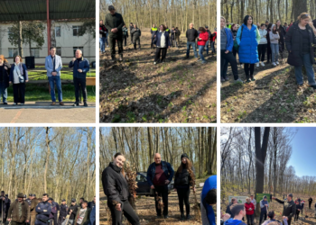 125 de elevi de la L.T. Horea, arhitecții viitorului verde al comunității marghitene. Pădurea Erasmus Horea prinde rădăcini