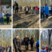 125 de elevi de la L.T. Horea, arhitecții viitorului verde al comunității marghitene. Pădurea Erasmus Horea prinde rădăcini