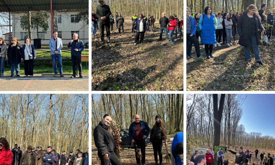 125 de elevi de la L.T. Horea, arhitecții viitorului verde al comunității marghitene. Pădurea Erasmus Horea prinde rădăcini