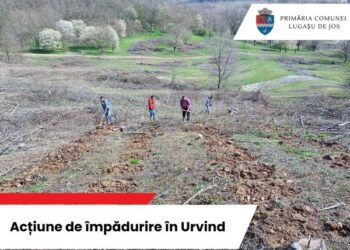 Azi începe cea mai amplă acțiune de plantare de copaci din România la Urvind,  Lugașu de Jos. Peste 500.000 de copaci pe 160 ha