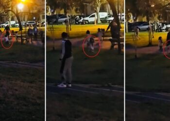 O adolescentă din Arad susține că e pisică. Avea o coadă, avea mustață de pisică, mască de pisică și se comporta ca o pisică, mergea în patru labe. Bineînțeles, câinele meu s-a speriat…