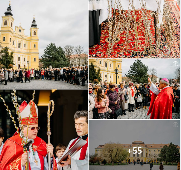 Duminica Floriilor, sărbătorită de romano-catolici. Duminica suferinței Domnului nostru