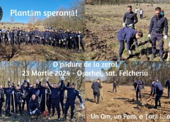 Vor crea o pădure de la zero. Cea mai mare acțiune de plantare la Felcheriu, Își propun plantarea a 30.000 de puieți pe 6 ha