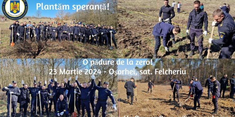Vor crea o pădure de la zero. Cea mai mare acțiune de plantare la Felcheriu, Își propun plantarea a 30.000 de puieți pe 6 ha