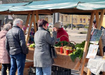 Se redeschid târgurile de la care orădeni pot cumpăra de la producătorii locali