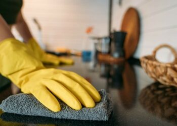 Personalul pentru activități casnice va putea fi angajat și plătit legal de persoanele fizice