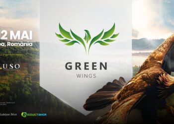 „GreenWings Oradea” – proiect al USO încheiat cu un after cross party în Piața Ferdinand