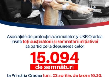 Prima inițiativă cetățenească din Oradea a strâns peste 15.000 semnături. Susținătorii Misiunii Grivei, așteptați la Primăria Oradea cu patrupedele la depunerea proiectului