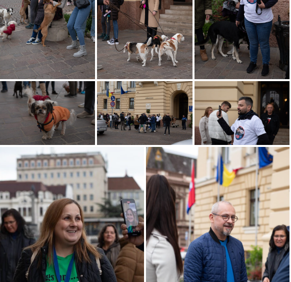 Funcționarii Primăriei surprinși de amploarea Misiunii Grivei. Zeci de orădeni s-au prezentat cu patrupedele pentru a forța o hotărâre de consiliu